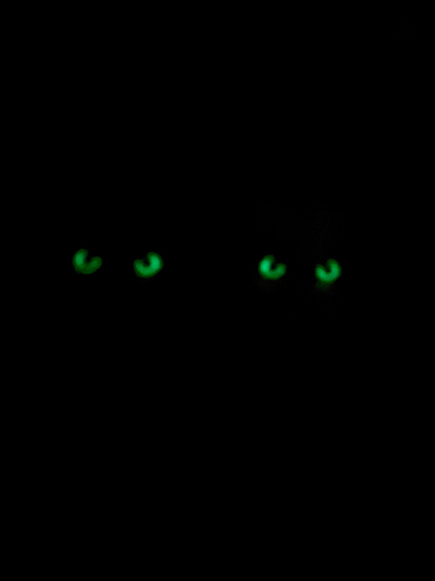 Spooky Season "Wanna Play?" Embroidered Glow In the Dark Horror Sweatshirt